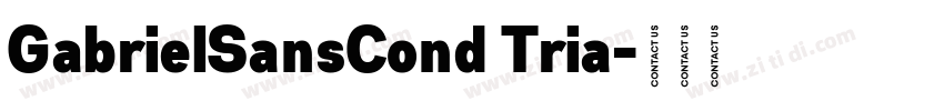 GabrielSansCond Tria字体转换